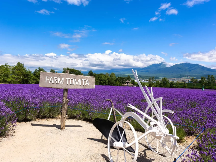 10 Summer Tours to Beat the Heat in Hokkaido