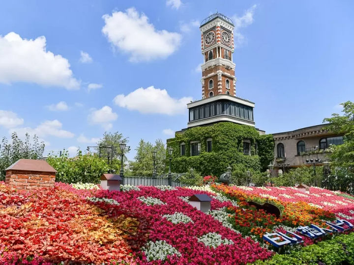 10 Summer Tours to Beat the Heat in Hokkaido