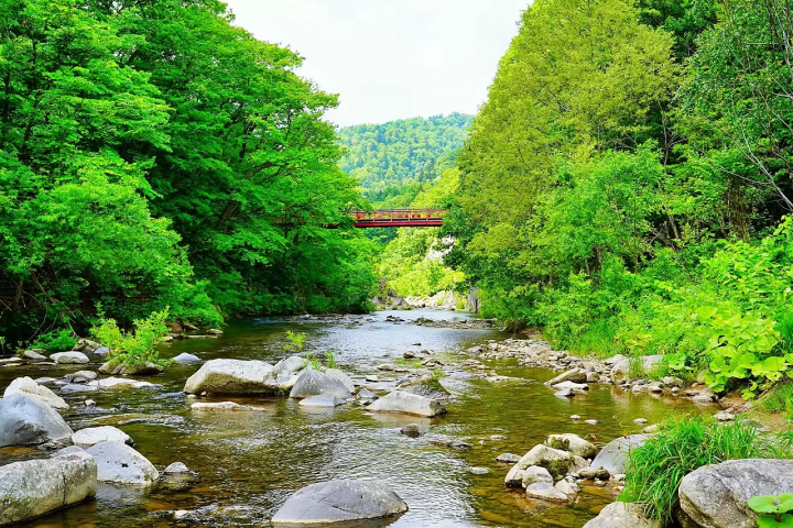 10 Summer Tours to Beat the Heat in Hokkaido