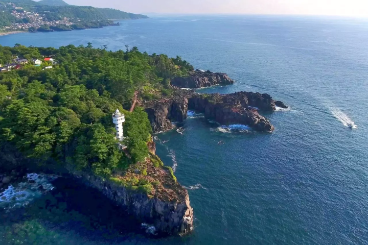 [从东京出发2小时] 伊东・伊豆高原：夏季活动及绝景总结