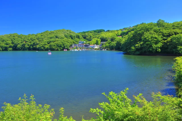 [从东京出发2小时] 伊东・伊豆高原：夏季活动及绝景总结
