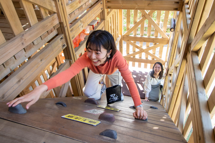 Awaji Island's BEST Theme Parks