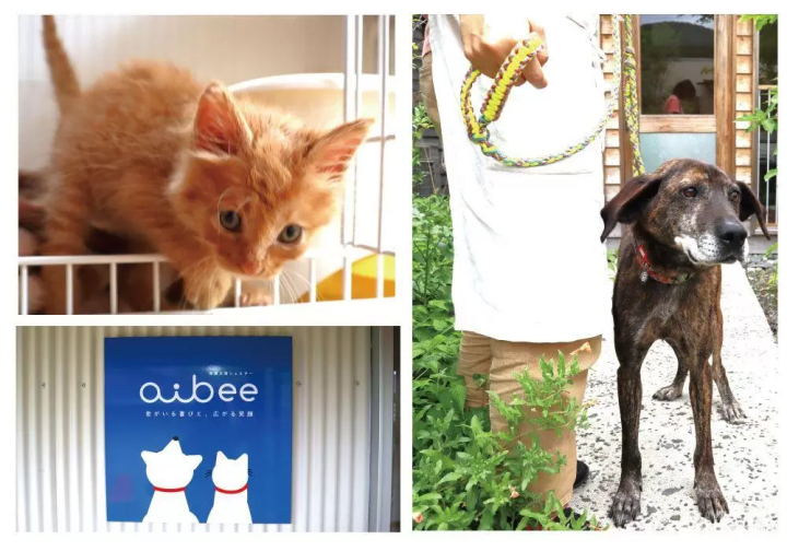 一個可以讓你放鬆心情、享受旅程的咖啡館