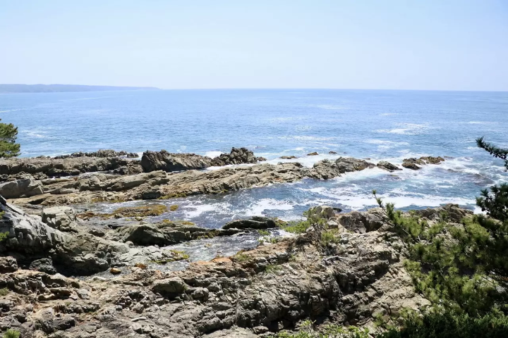 Tashirojima Island Guide - Visit The Cat Island Of Miyagi