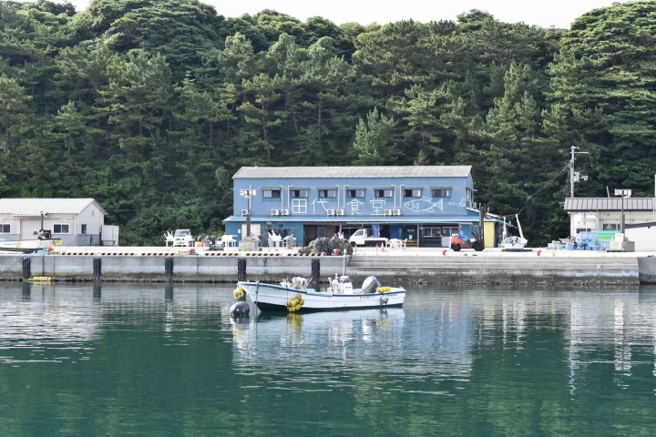 Tashirojima Island Guide - Visit The Cat Island Of Miyagi