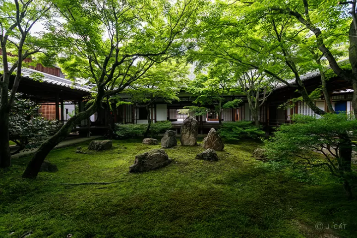 Zen Experiences in Kyoto and Tokyo: 12 Relaxing Workshops