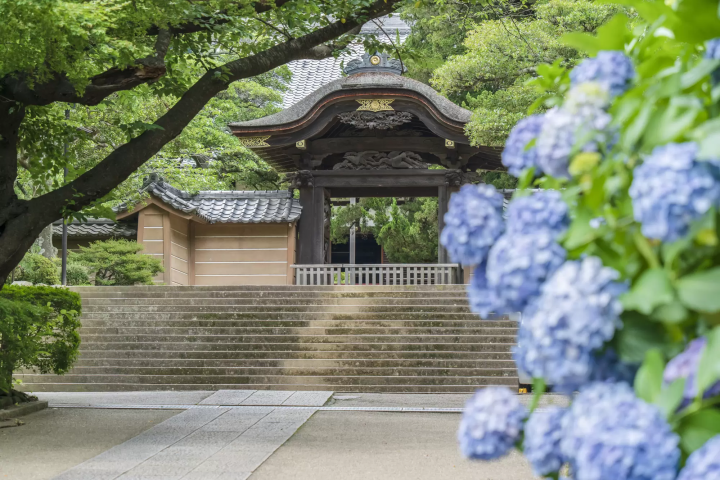 鎌倉完整指南！网罗交通美食活动盛事以及各景点不藏私全部公开！