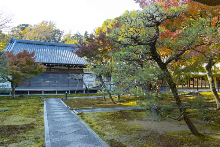 镰仓完整指南！网罗交通美食活动盛事以及各景点不藏私全部公开！