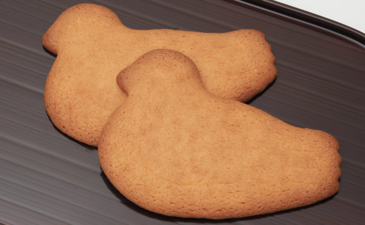 【2024】镰仓旅游完整指南：交通、景点、美食、住宿、一日游路线不藏私大公开！