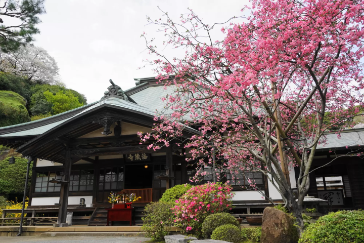 鎌倉完整指南！网罗交通美食活动盛事以及各景点不藏私全部公开！