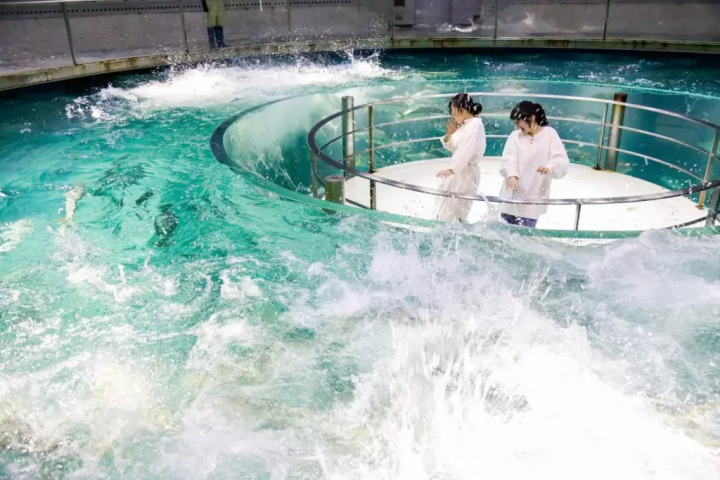 城崎温泉及周边地区的体验和活动总结