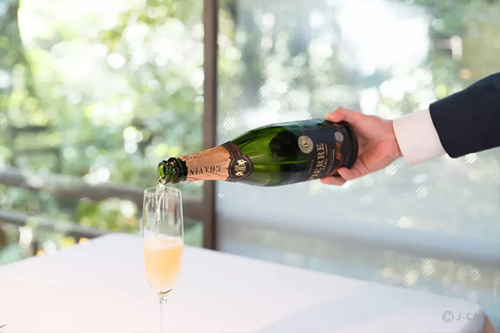 Zen Experiences in Kyoto and Tokyo: 12 Relaxing Workshops