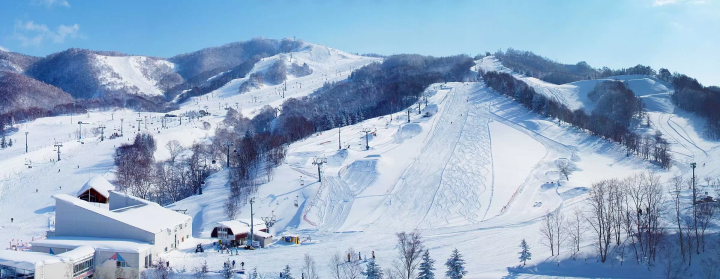 想要享受粉雪的人一定要来看看！距新千岁机场1小时30分钟以内的12家滑雪场推荐！提供坂度信息