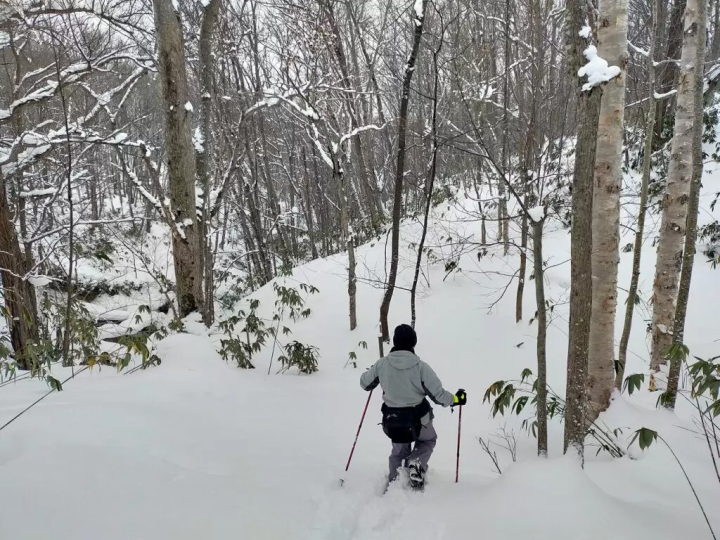 想要享受粉雪的人一定要来看看！距新千岁机场1小时30分钟以内的12家滑雪场推荐！提供坂度信息