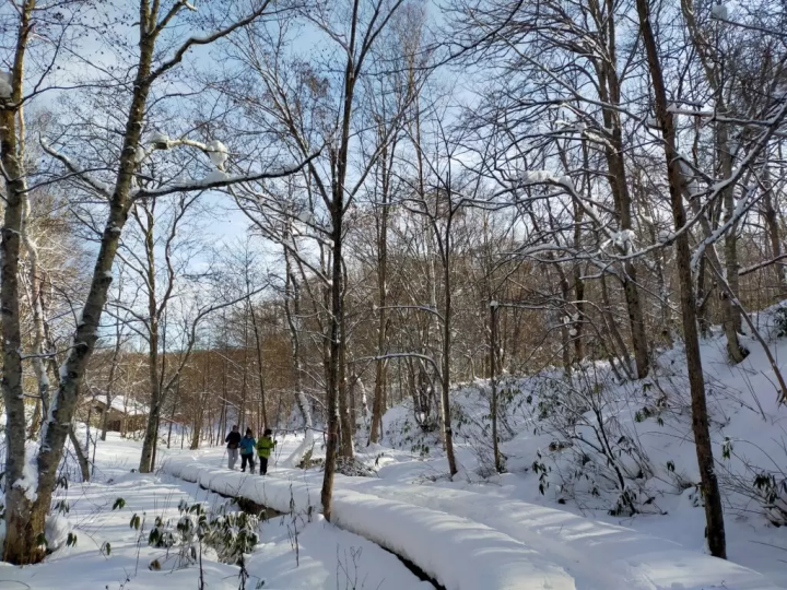 想要享受粉雪的人一定要来看看！距新千岁机场1小时30分钟以内的12家滑雪场推荐！提供坂度信息