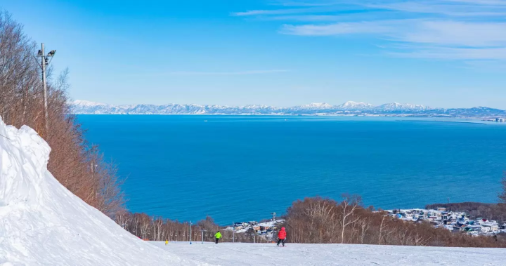 想要享受粉雪的人一定要来看看！距新千岁机场1小时30分钟以内的12家滑雪场推荐！提供坂度信息