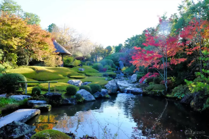 Zen Experiences in Kyoto and Tokyo: 12 Relaxing Workshops