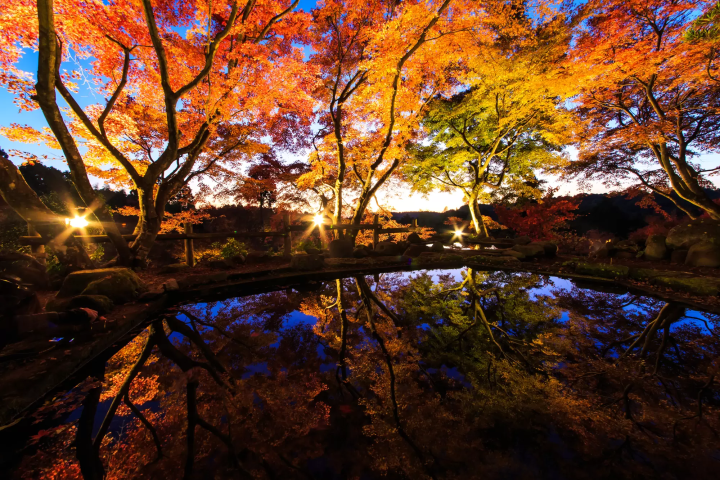 autumn foliage around pond