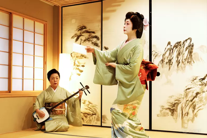 geisha shamisen