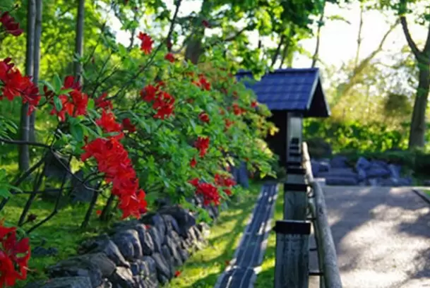 [Hokkaido Driving Course] A journey to enjoy rare hot springs and spectacular scenery!