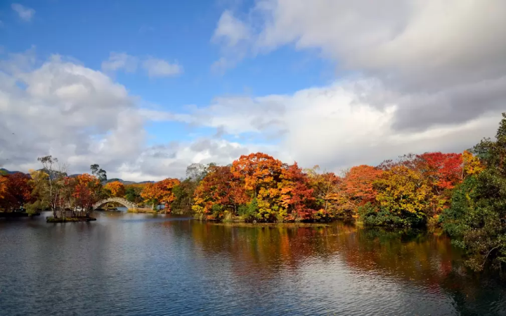 [Hokkaido Driving Course] A luxurious trip to leisurely enjoy the nature-rich Onuma Park!