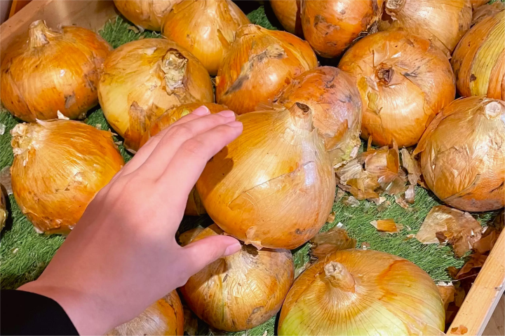 淡路岛的风风巷——瓢虫之路,美食与风景兼具的景点