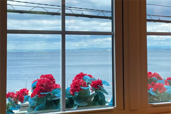 淡路岛的风风巷——瓢虫之路,美食与风景兼具的景点