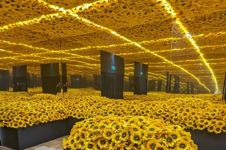 [福冈/天神]可以体验一下！ “活着的梵高”沉浸式展览，让您沉浸在梵高的世界里