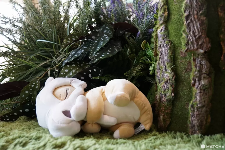 ﻿在東京與寶可夢一起入睡！與寶可夢共度雲端之夜 