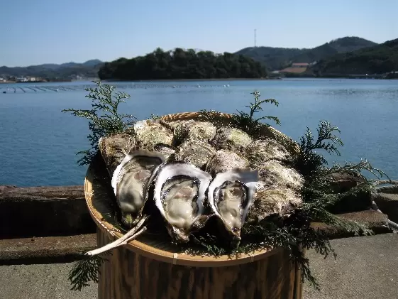 爱媛县最南端爱南町完全攻略