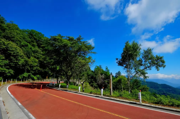 【東京駕車路線】體驗戶外活動、發現東京新魅力的旅程！