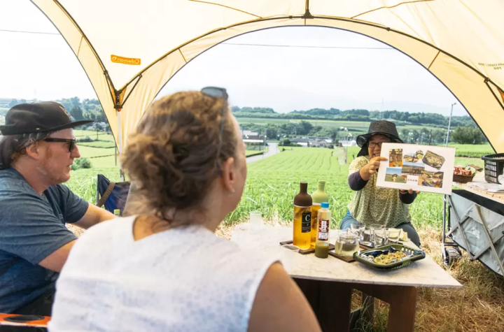 球磨川豪华之旅【充分享受武士地区的文化、美食和自然的冒险】（熊本人吉球磨/3天2晚）