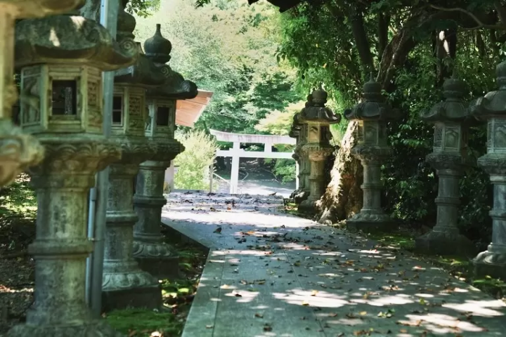 Enjoying the peacefulness while walking alone on the shrine's property