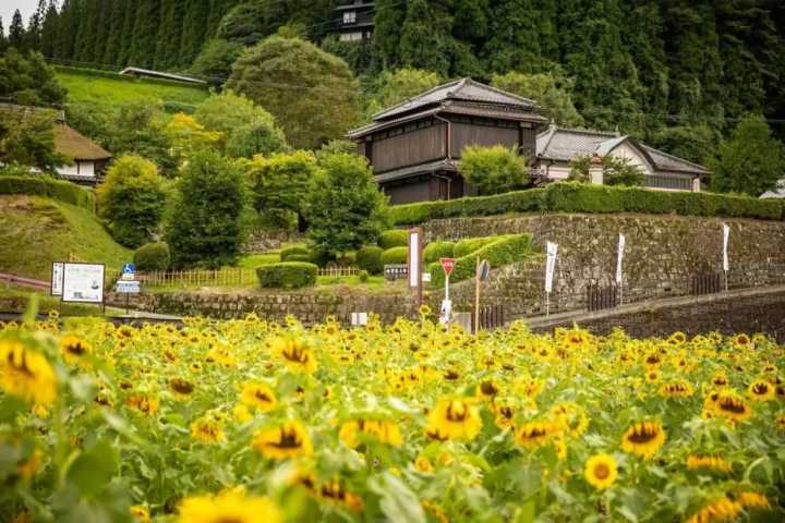 新版1000日元纸币“北里柴三郎”的正面和在他的出生地建造的纪念馆