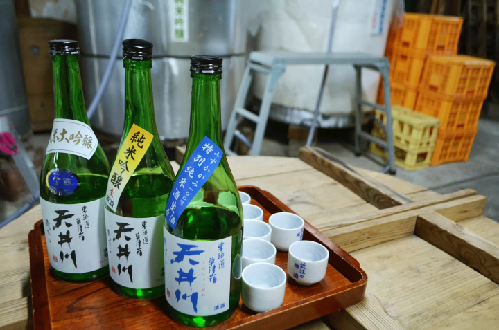 志贺草津市的季节旅游指南！详细介绍推荐的观光景点、活动、赏花时间