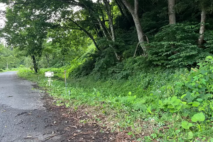 【2024년판】스마트폰으로 찍을 수 있다! 여름은 천연 반딧불과 에모인 추억을 남기자!