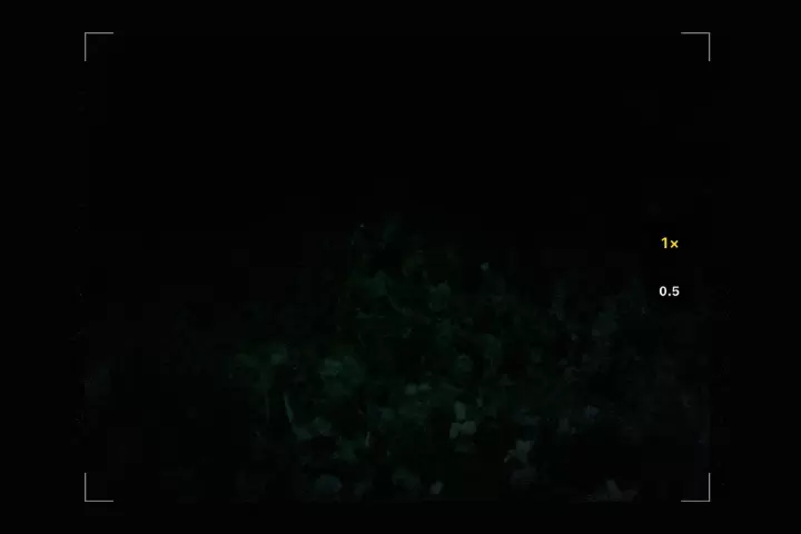 【2024년판】스마트폰으로 찍을 수 있다! 여름은 천연 반딧불과 에모인 추억을 남기자!