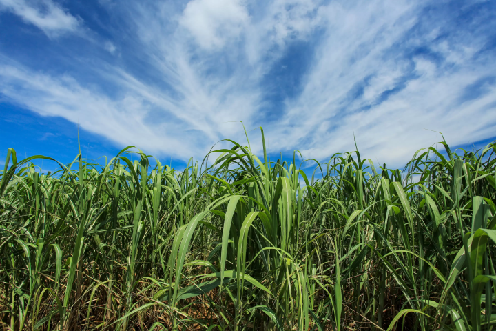 Private Jet Adventure to Minamidaito Island