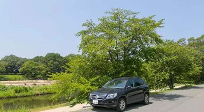 [Kyoto Driving Course] Take your time to enjoy the rich nature and historic shrines!