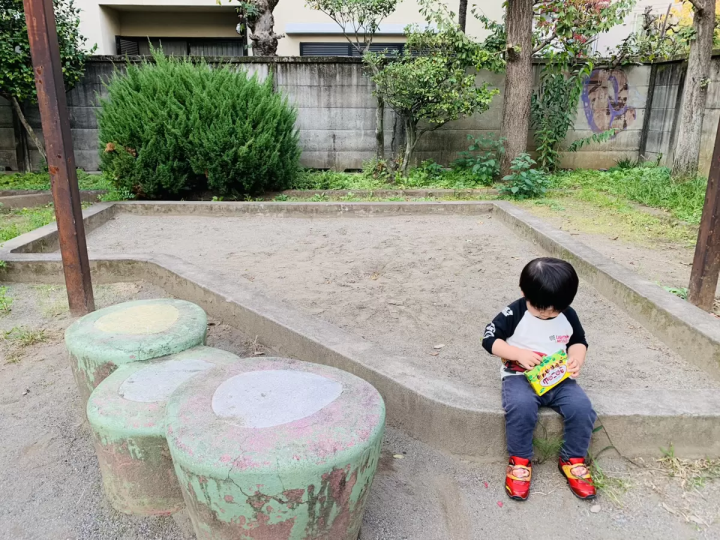 마치 비밀 기지! 그네 무제한의 숨은 명소 명소【나츠메 공원】