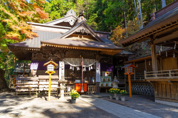 期間限定的絕景！盡享富士山、櫻花、山梨美食的「新倉山淺間公園櫻祭」