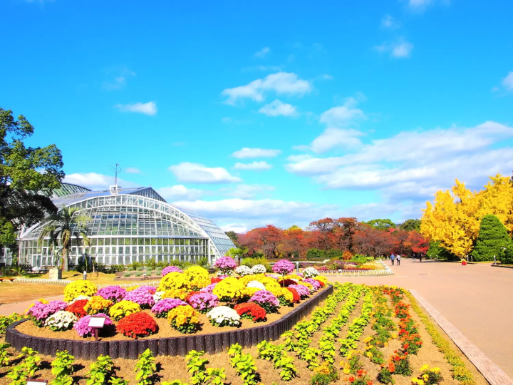 京都府立植物园