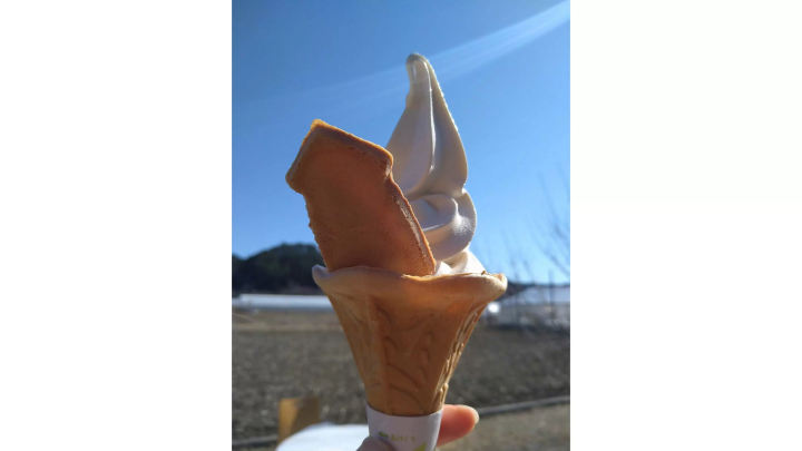 岩手県宮古市おすすめグルメ３選！