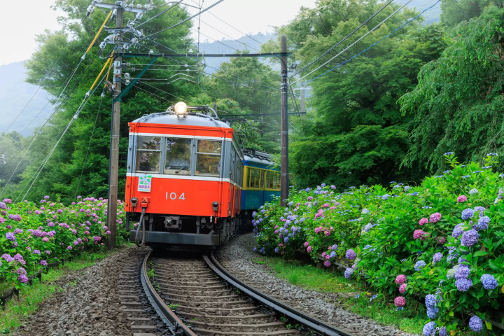 箱根登山電車