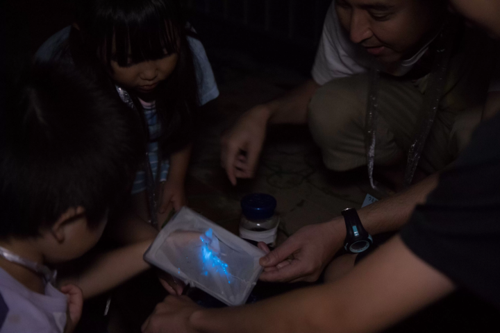 มาทำให้หิ่งห้อยทะเลเปล่งประกายบนฝ่ามือของคุณกันเถอะ!