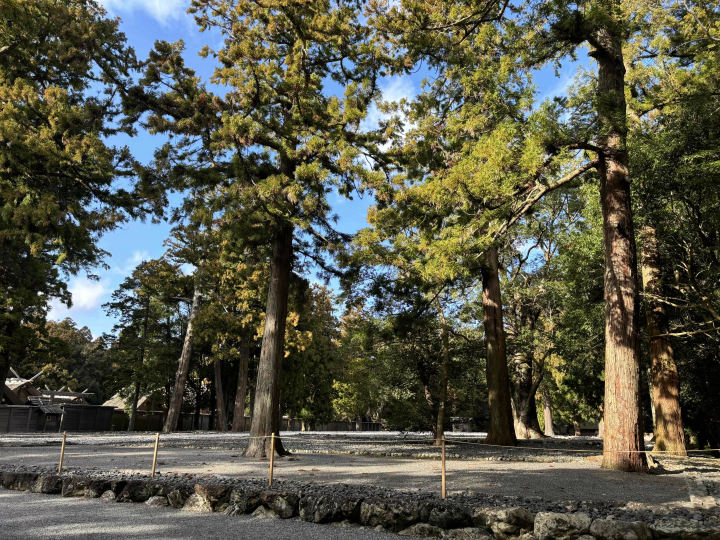 [กิจกรรมฤดูร้อนที่แนะนำ] ทำไมไม่สวมชุดยูกาตะไปเยี่ยมชม Geku ที่ Hassaku Sangu ในวันที่ 1 สิงหาคมของทุกปี?