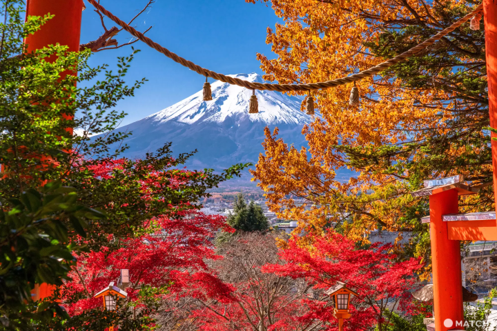 7 Things to Enjoy at Arakurayama Sengen Park