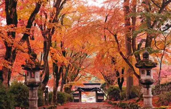 [Hyogo Driving Course] Fun for all ages! Enjoy history, spectacular views, and activities all in one day!