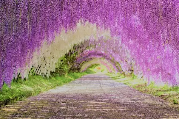 有隱藏的寶石！福岡35個推薦旅遊景點和當地美食