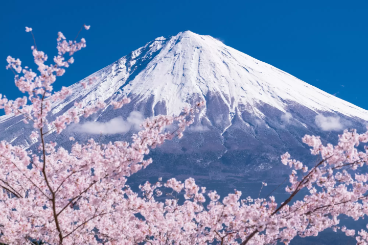 Shizuoka view of Mt. Fuji